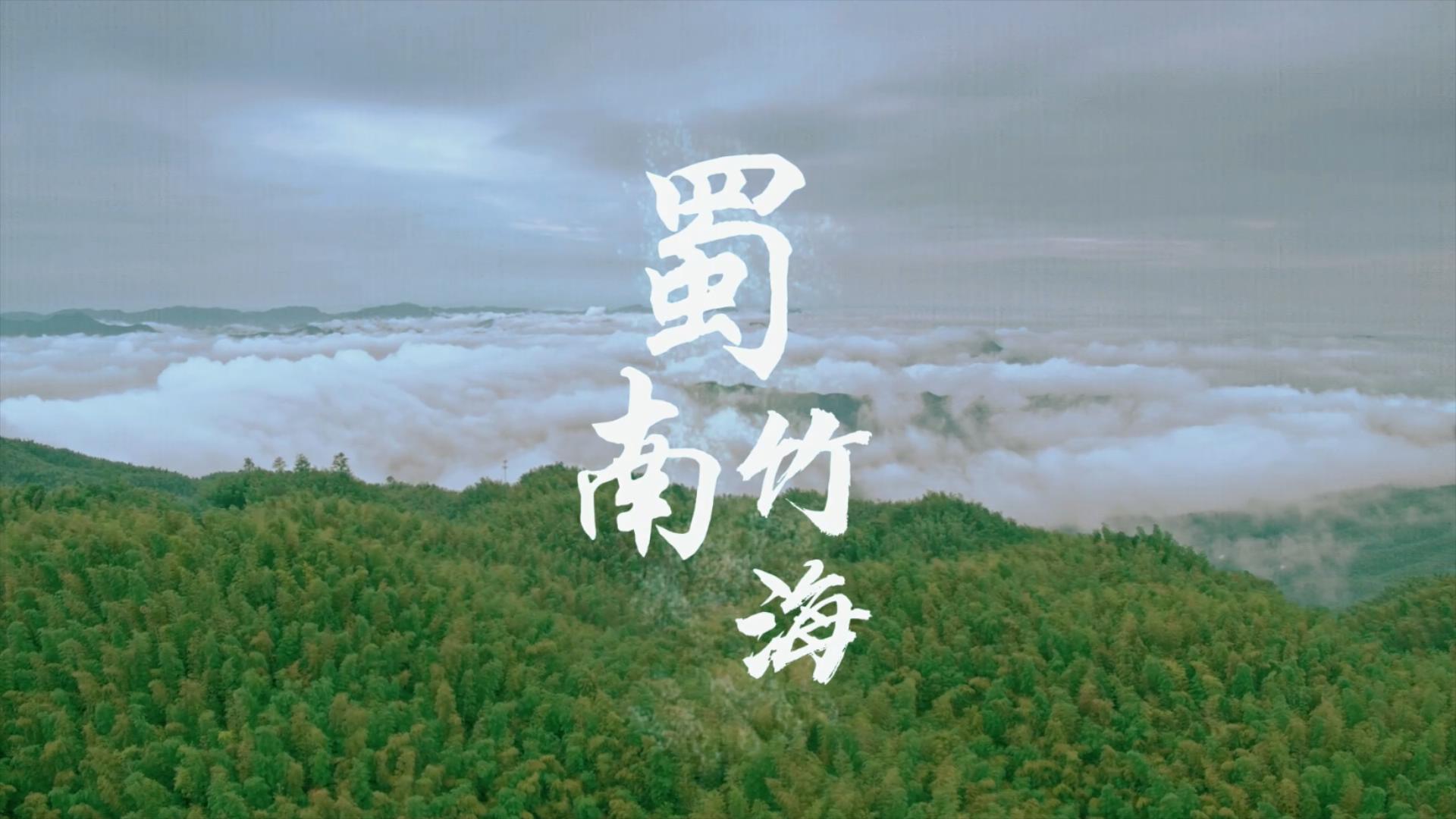 蜀南竹海再次深度游,到此一游流连忘返