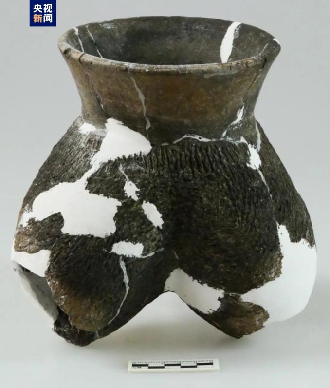 尹村遗址,忻州考古发掘出的文物或遗址