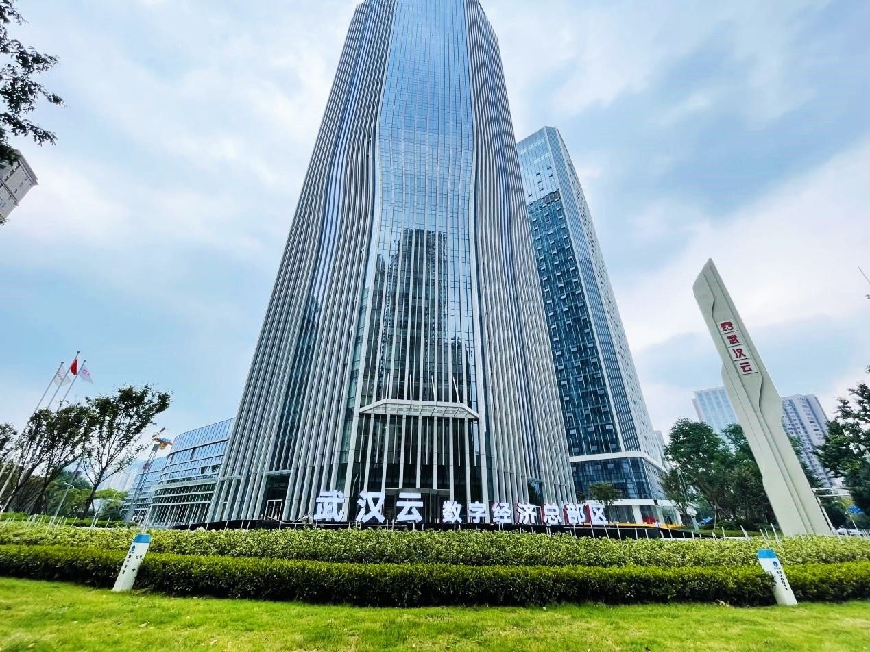 武汉云数字江豚,保护江豚武汉