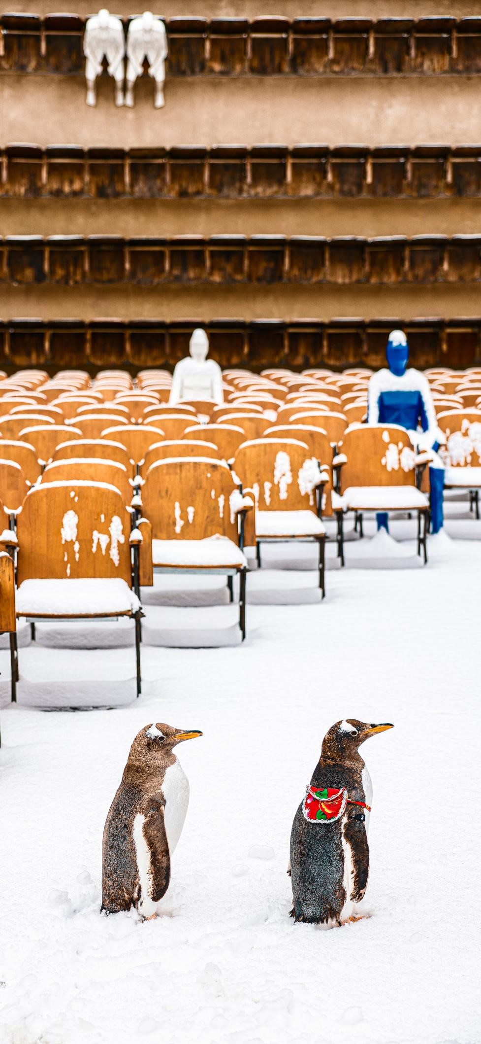 你的qq现在还能登上吗,只有qq怎么登录微信