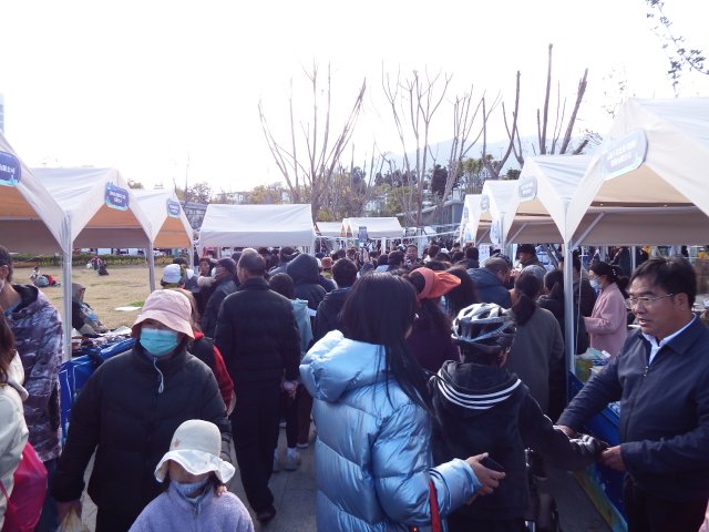 大理宾川年货展会视频,大理土特产大会在哪办