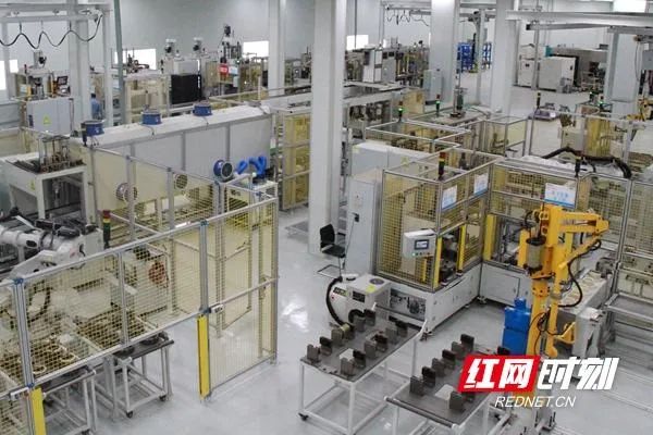 观潮大螃蟹,观潮的螃蟹