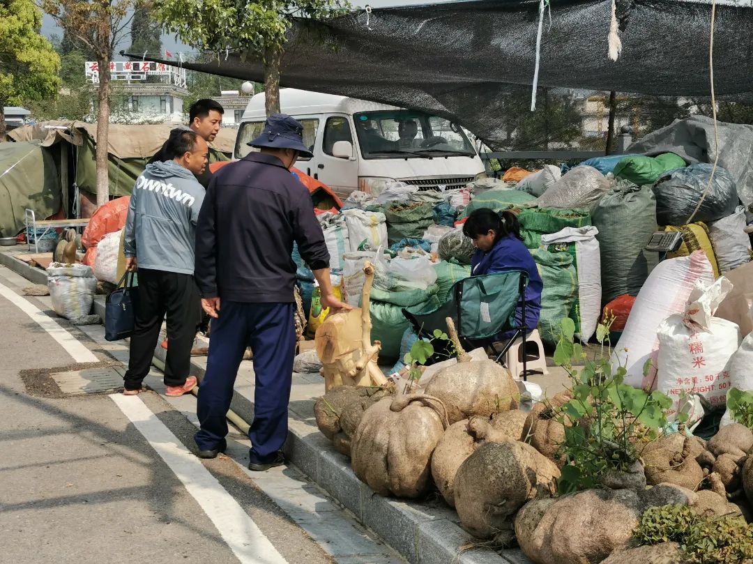 大理三月街药材批发,大理三月街药材市场2019