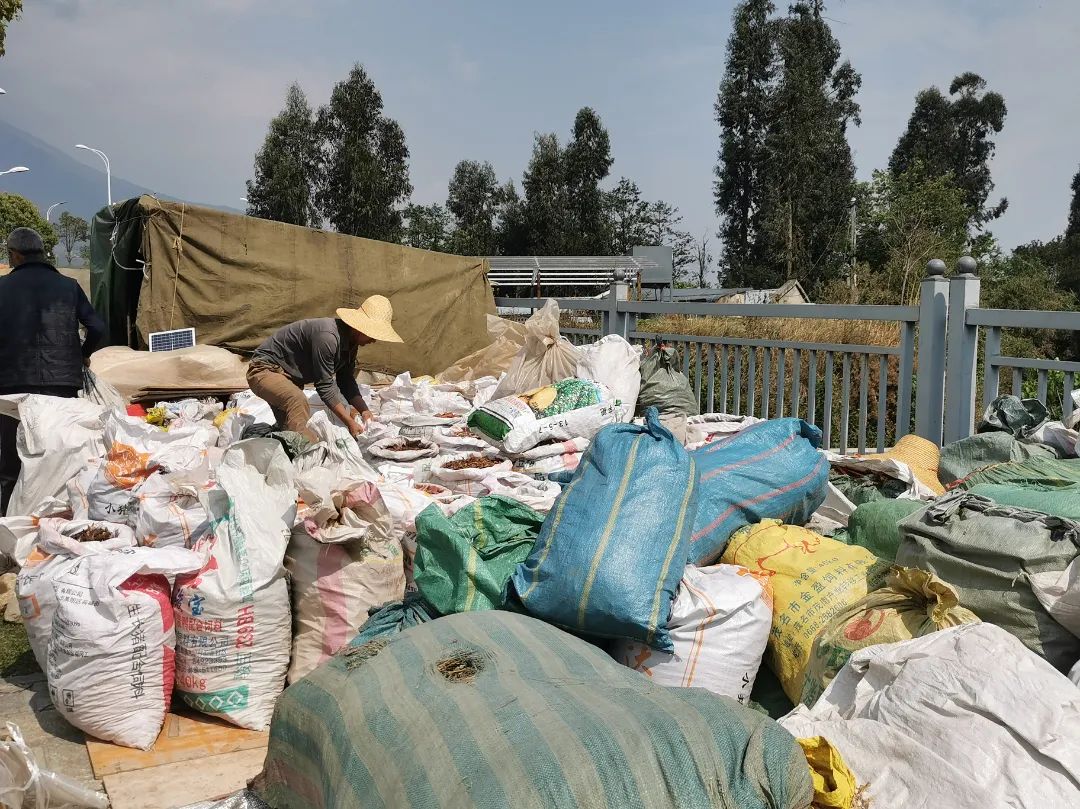 大理三月街药材,大理三月街药材市场
