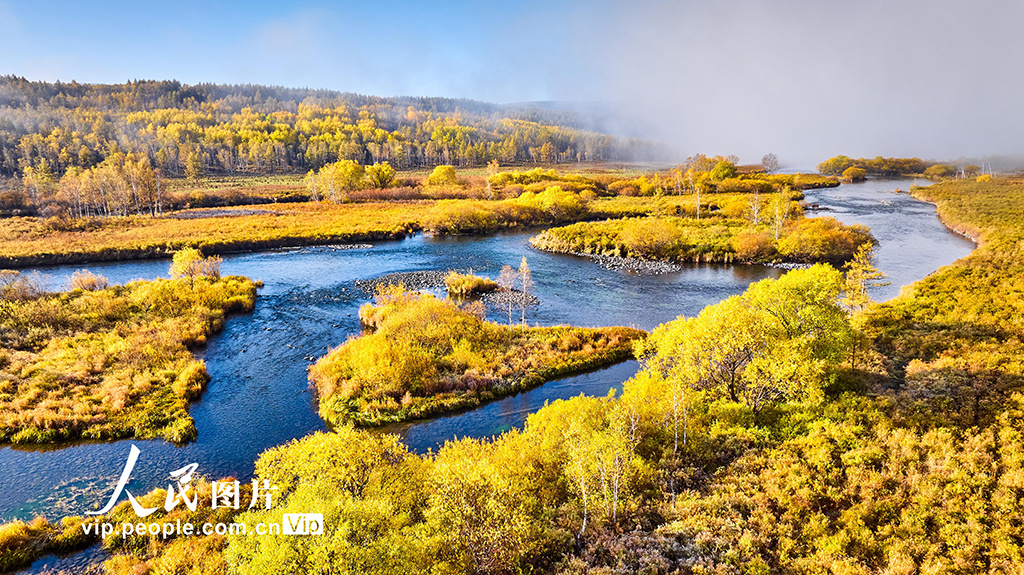 内蒙阿尔山美景视频,阿尔山国家森林公园的秋色